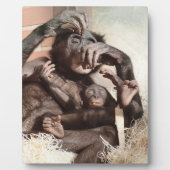 CHIMPANZES FOTOPLAAT (Voorkant)
