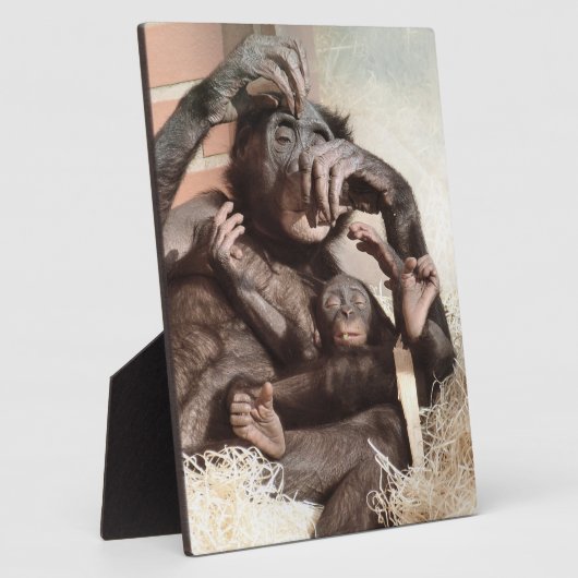 CHIMPANZES FOTOPLAAT (Zijkant)