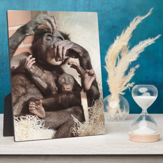 CHIMPANZES FOTOPLAAT (Zijkant)