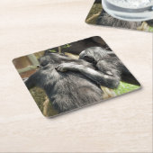 CHIMPANZES KARTONNEN ONDERZETTERS (Schuin)