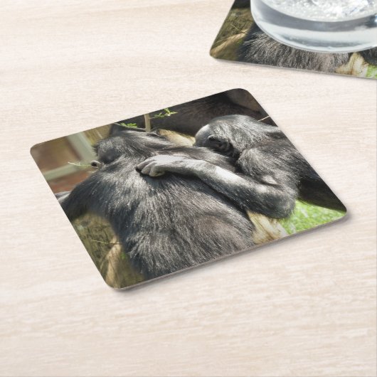 CHIMPANZES KARTONNEN ONDERZETTERS (Schuin)