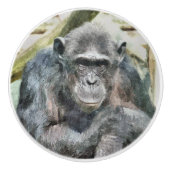 CHIMPANZES KERAMISCHE KNOP (Voorkant)