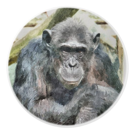 CHIMPANZES KERAMISCHE KNOP (Voorkant)