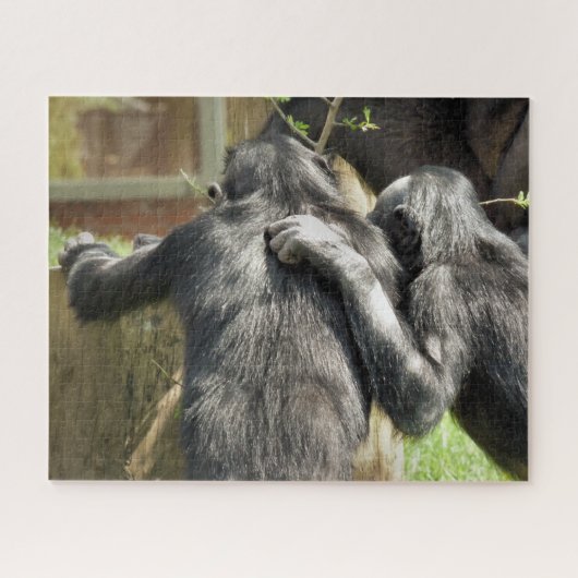 CHIMPANZES LEGPUZZEL (Horizontaal)