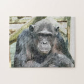 CHIMPANZES LEGPUZZEL (Horizontaal)