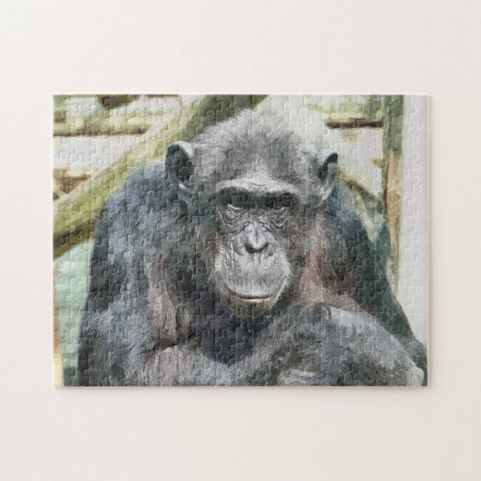 CHIMPANZES LEGPUZZEL (Horizontaal)