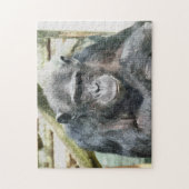 CHIMPANZES LEGPUZZEL (Verticaal)