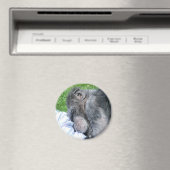 CHIMPANZES MAGNEET (Insitu (Vaatwasser))