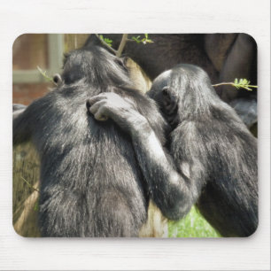 CHIMPANZES MUISMAT