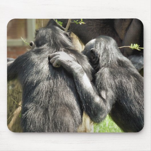 CHIMPANZES MUISMAT (Voorkant)