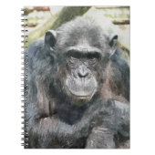 CHIMPANZES NOTITIEBOEK (Voorkant)