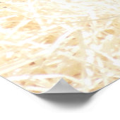 CHIMPANZES POSTER (Hoek)