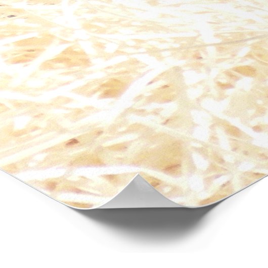 CHIMPANZES POSTER (Hoek)