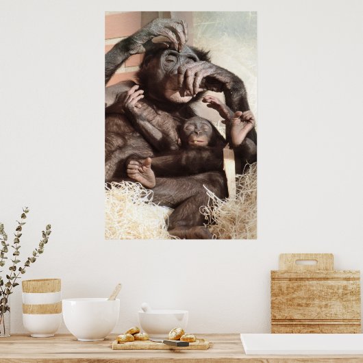 CHIMPANZES POSTER (Keuken)