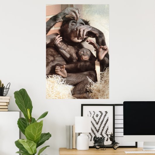 CHIMPANZES POSTER (Thuiskantoor)