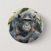 CHIMPANZES RONDE BUTTON 5,7 CM (Voorkant)