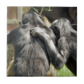 CHIMPANZES TEGELTJE (Voorkant)