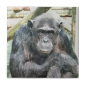 CHIMPANZES TEGELTJE (Voorkant)