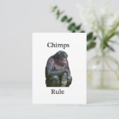 Chimps-regel Briefkaart (Staand voorkant)