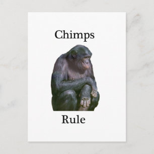 Chimps-regel Briefkaart