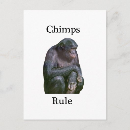Chimps-regel Briefkaart (Voorkant)