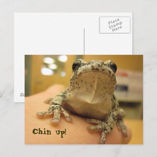 Chin omhoog! briefkaart (Voorkant / Achterkant)