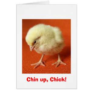 Chin omhoog, Chick!