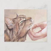 Chin Scratch Cat Art Briefkaart (Voorkant)