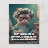 "Chin Scratches Alsjeblieft" Funny Cat Lover Feestdagenkaart (Voorkant)