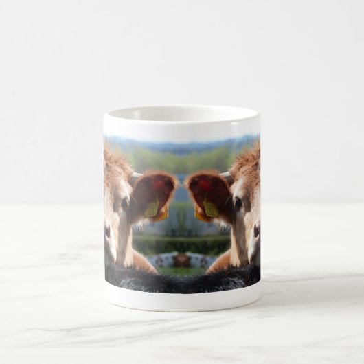 Chin Up, Cow Mok (Center)