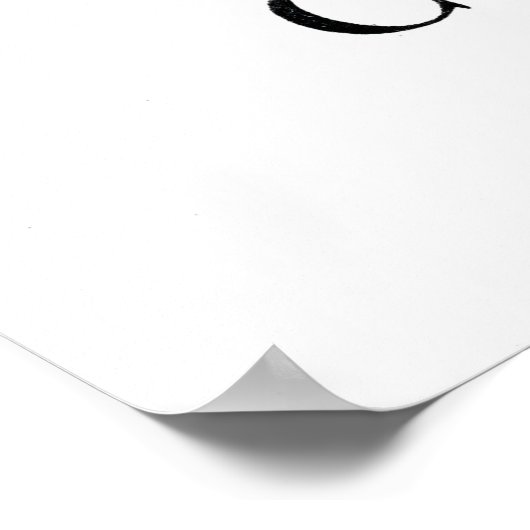 China Aster Poster (Hoek)