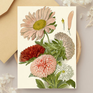 China Asters – Exquise Bloemrijke Botanische Briefkaart