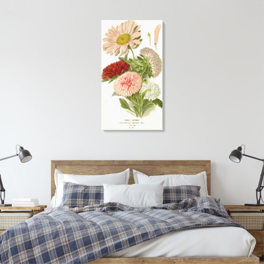 China Asters – Exquise  Bloemrijke Botanische Canvas Afdruk (Insitu (Slaapkamer))