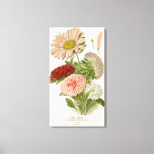 China Asters – Exquise  Bloemrijke Botanische Canvas Afdruk (Voorkant)