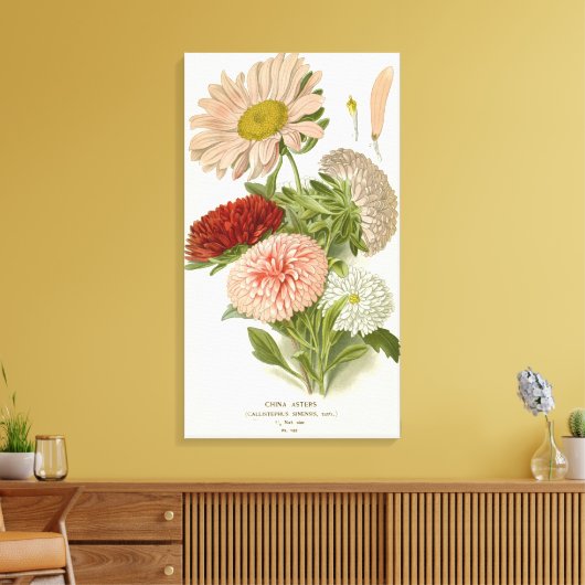 China Asters – Exquise  Bloemrijke Botanische Canvas Afdruk (Insitu (Woonkamer))
