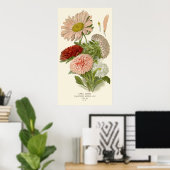 China Asters – Exquise  Bloemrijke Botanische Poster (Thuiskantoor)