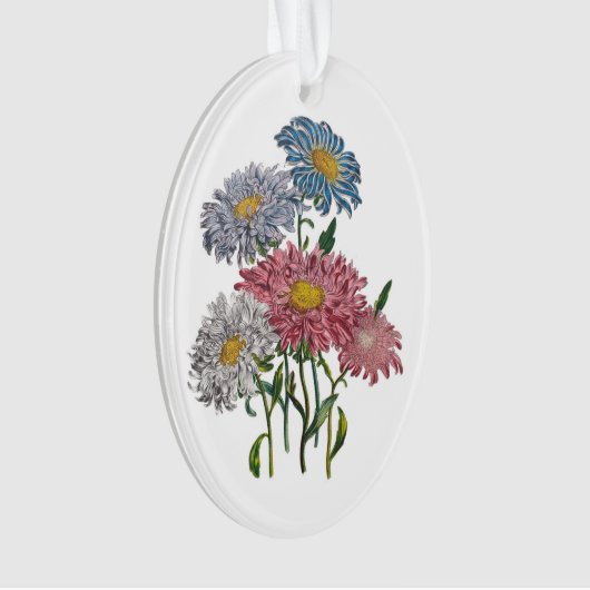 China Asters Ornament (voorkant)
