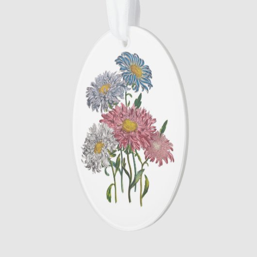 China Asters Ornament (voorkant)