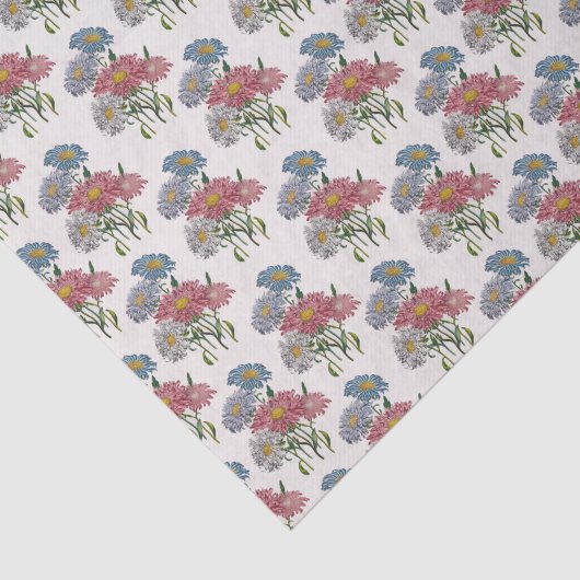 China Asters Tissuepapier (Detail)