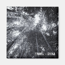 China, Bamboe Forest (Fridge Magnet)