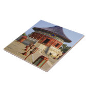 China, Beijing, Tian Tan Park, tempel van de hemel Tegeltje (Zijkant)