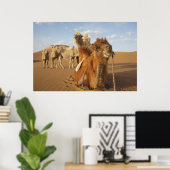 China, Binnen-Mongolië, Badain Jaran woestijn 2 Poster (Thuiskantoor)