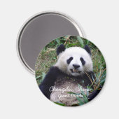 China, Chengdu, Giant Panda (Magnet) Magneet (Voorkant / Achterkant)