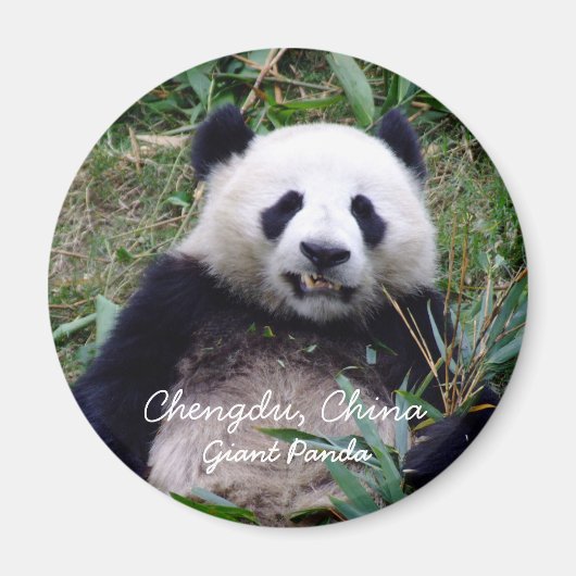 China, Chengdu, Giant Panda (Magnet) Magneet (Voorkant)