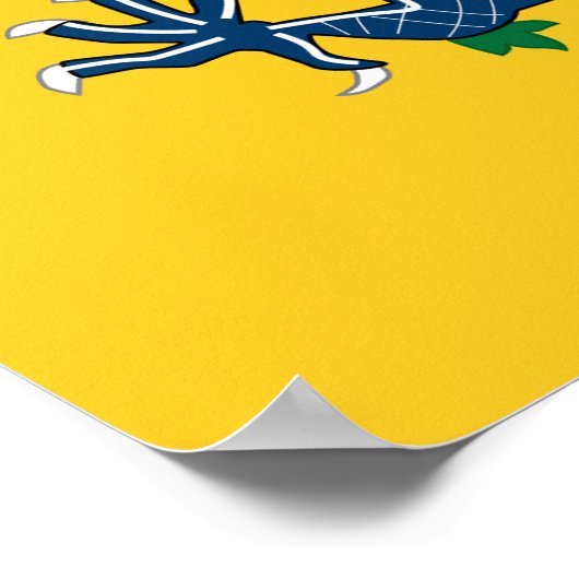 China Chinese Draak Vlag Qing-dynastie Poster (Hoek)