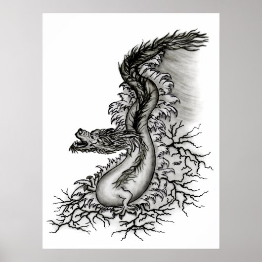 China-Drache Poster (Voorkant)