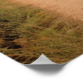 China, Guangxi. Yangzhou, fiets op land Poster (Hoek)