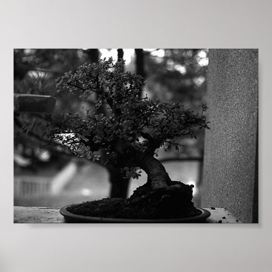 China Guilin miniatuur bonsai Pot Poster (Voorkant)