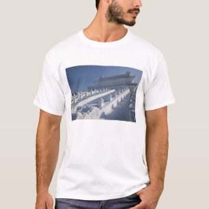 CHINA, Heilongjiang Provincie, Haerbin (Harbin). 2 T-shirt