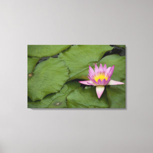 China, Hong Kong, Nieuwe Gebieden. Chi Lin Canvas Afdruk
